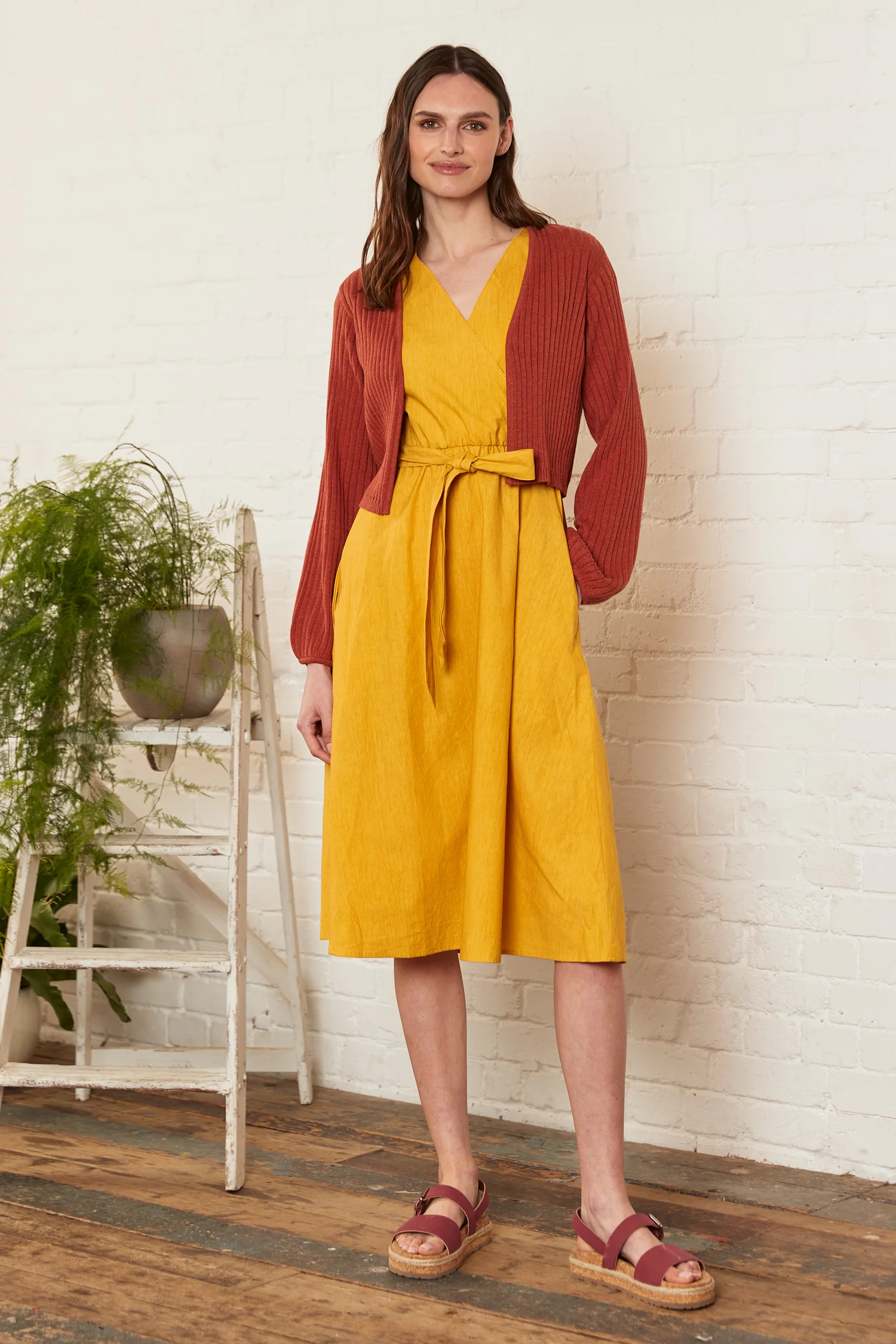 Cotton Poplin Dress - Image 3